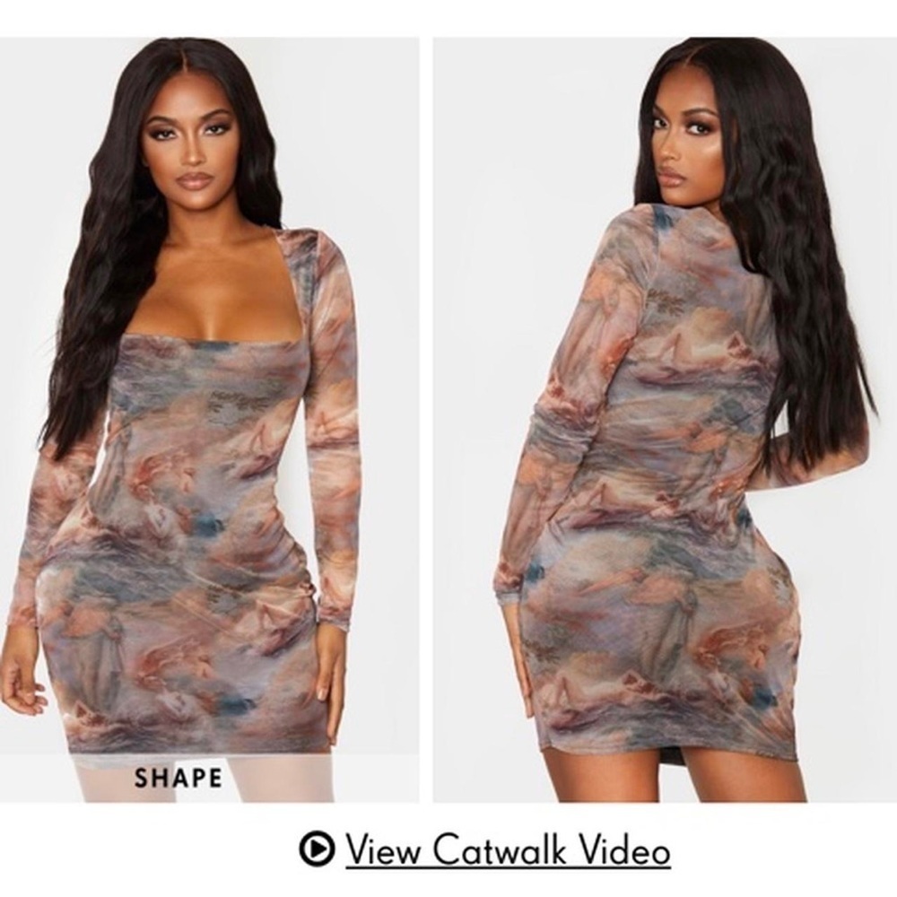 New Renaissance Print Mesh Square Neck Bodycon Dress